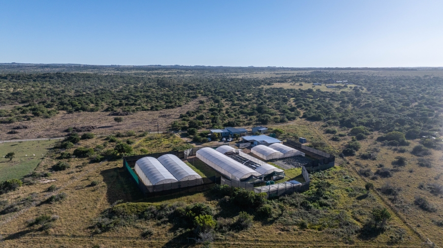 3 Bedroom Property for Sale in Port Alfred Rural Eastern Cape
